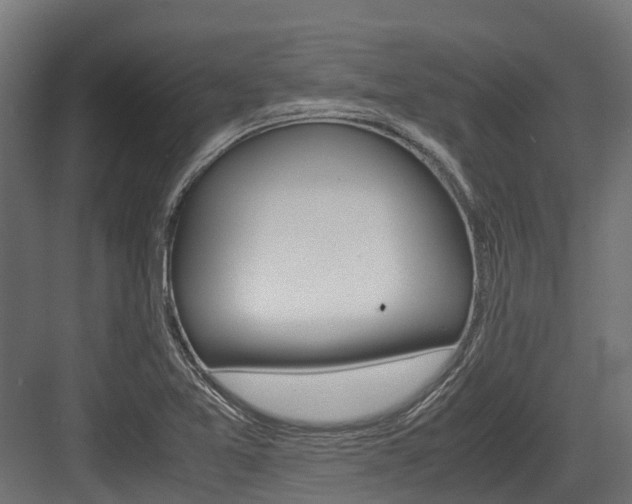 X0000083621365200702120738