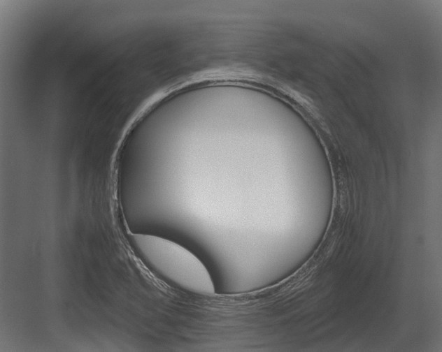 X0000083621366200702120738