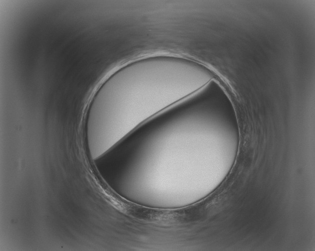 X0000083621367200702120738