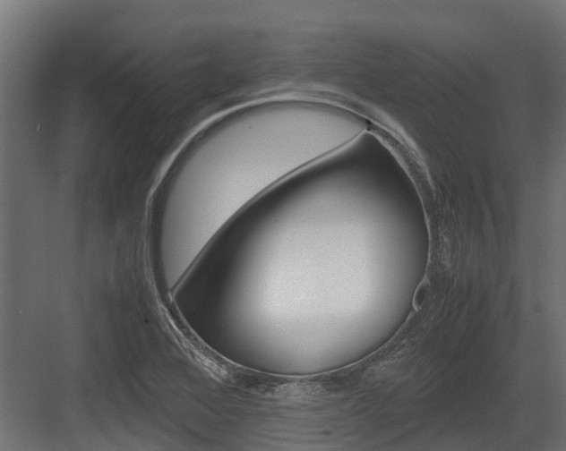 X0000083621368200702120738