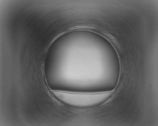 X0000083621369200702120738