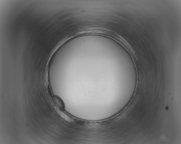 X0000083621370200702120738