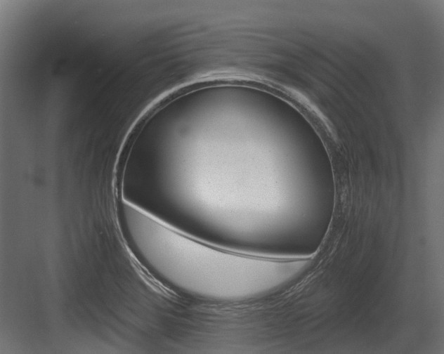 X0000083621372200702120738