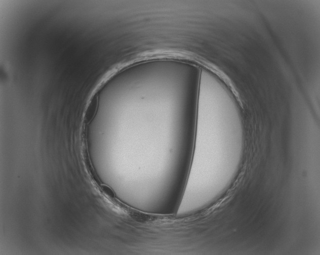 X0000083621373200702120738