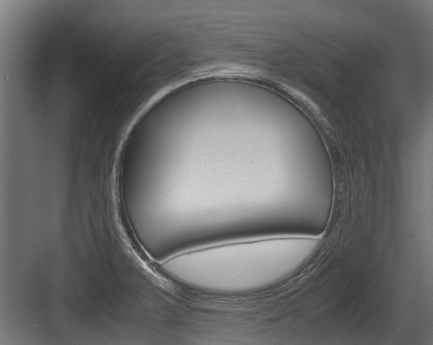 X0000083621375200702120738