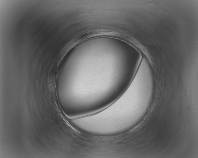 X0000083621377200702120738