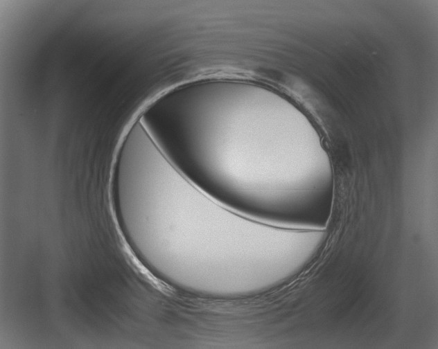 X0000083621379200702120738