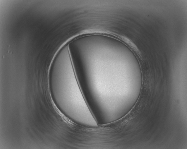 X0000083621380200702120738
