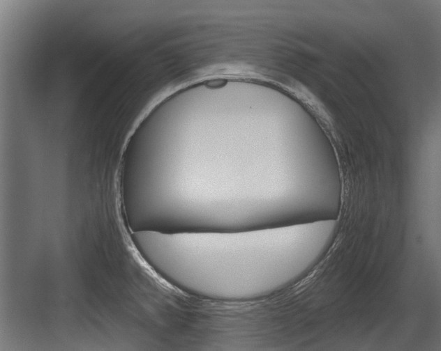 X0000083621382200702120738