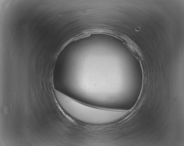 X0000083621385200702120738