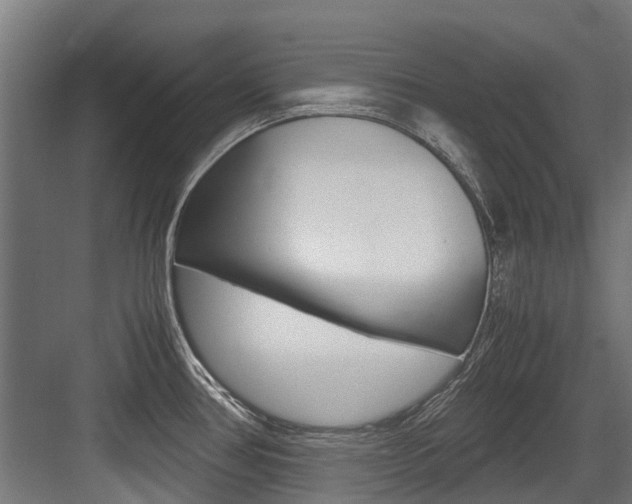 X0000083621386200702120738