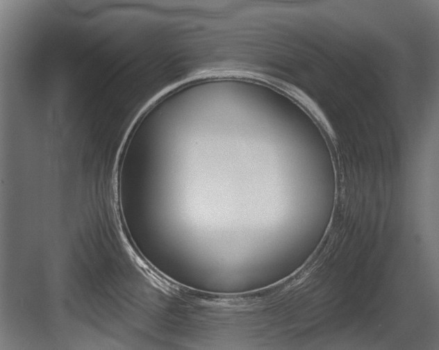 X0000083621388200702120738