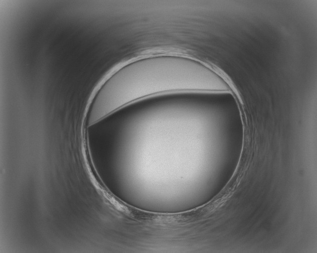 X0000083621389200702120738