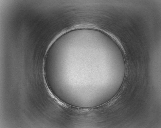 X0000083621390200702120738