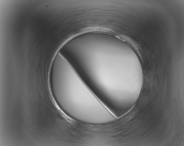 X0000083621391200702120738