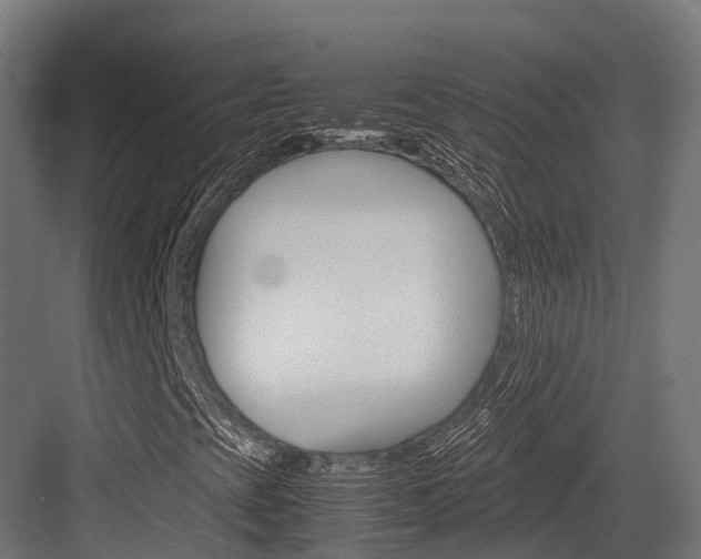 X0000083621393200702120737