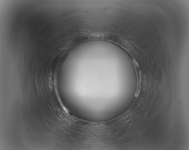 X0000083621394200702120737