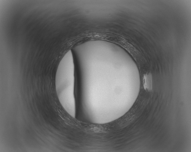 X0000083621395200702120737