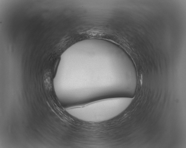 X0000083621396200702120737