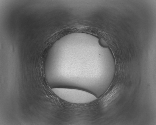X0000083621397200702120737