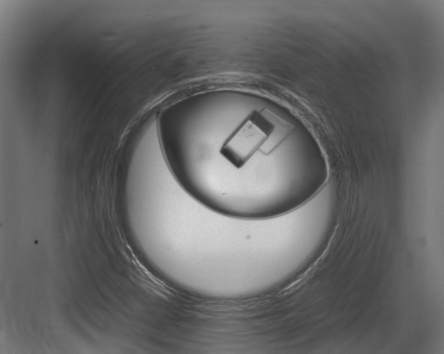 X0000083621402200702120737