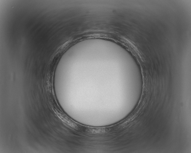 X0000083621403200702120737