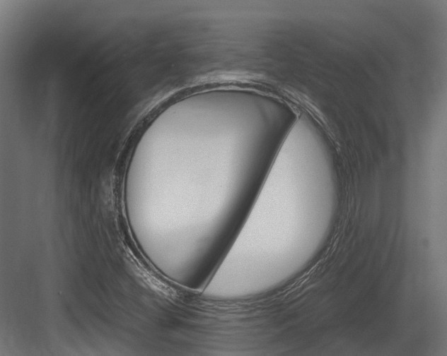 X0000083621404200702120737