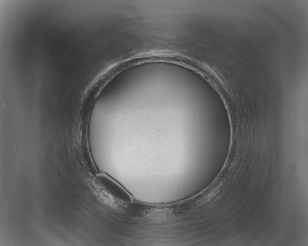 X0000083621406200702120737