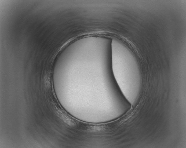 X0000083621409200702120737