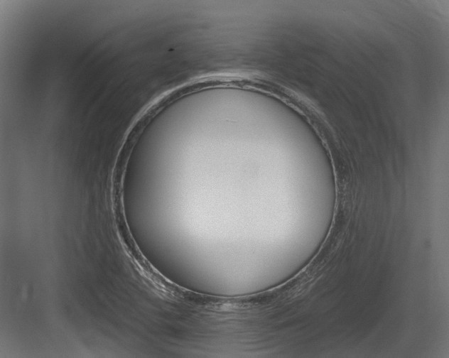 X0000083621412200702120737