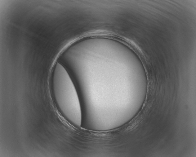 X0000083621413200702120737