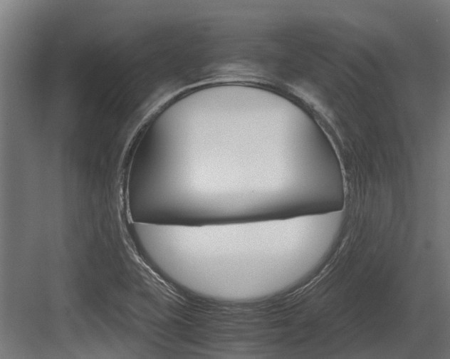 X0000083621415200702120738
