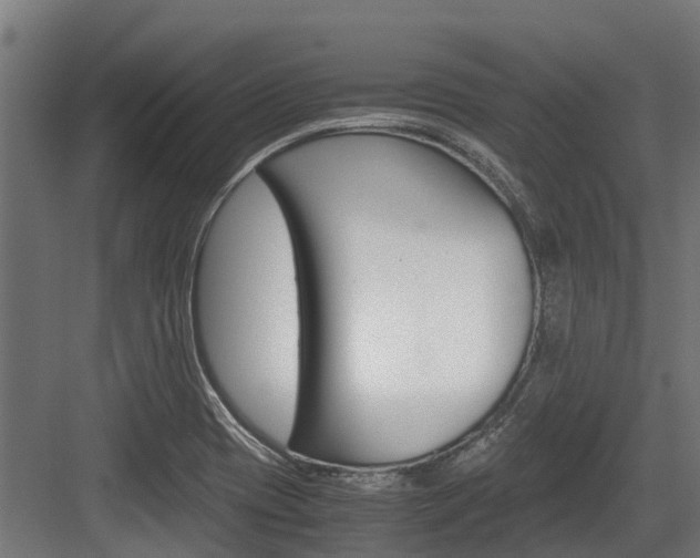 X0000083621417200702120738