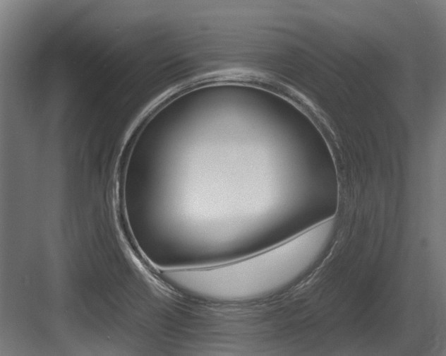 X0000083621418200702120738