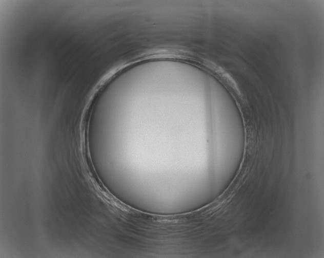 X0000083621419200702120738