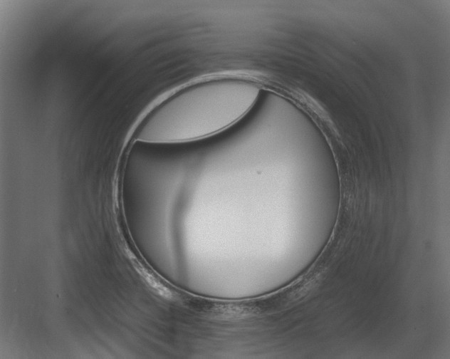 X0000083621420200702120738