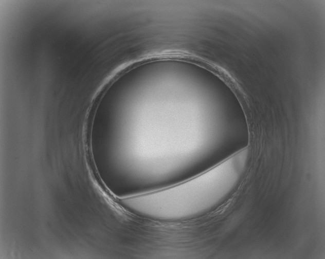 X0000083621422200702120738