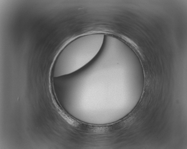 X0000083621423200702120738