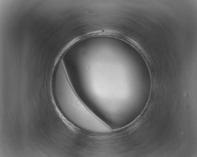 X0000083621426200702120738