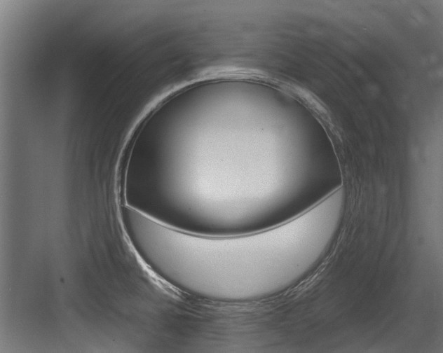 X0000083621430200702120738