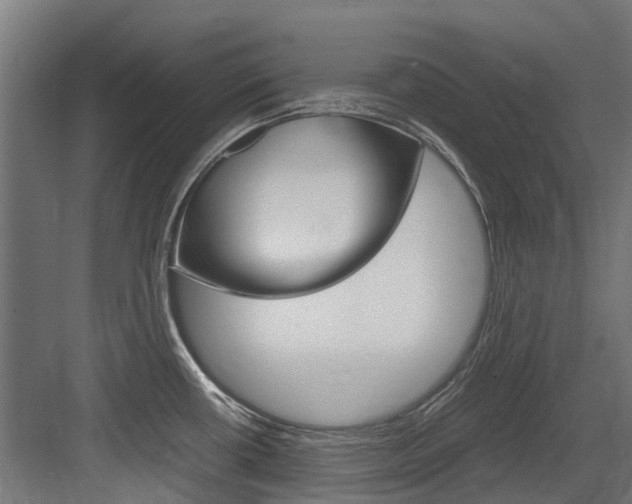 X0000083621434200702120738