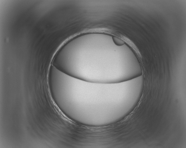X0000083621436200702120738