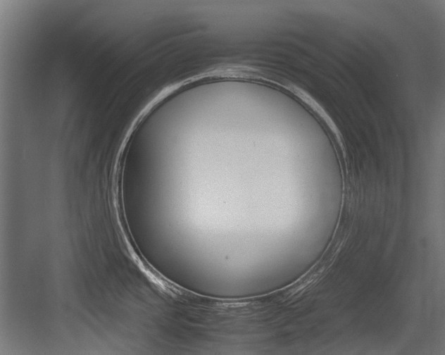 X0000083621437200702120738