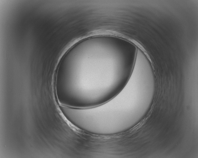 X0000083621438200702120738
