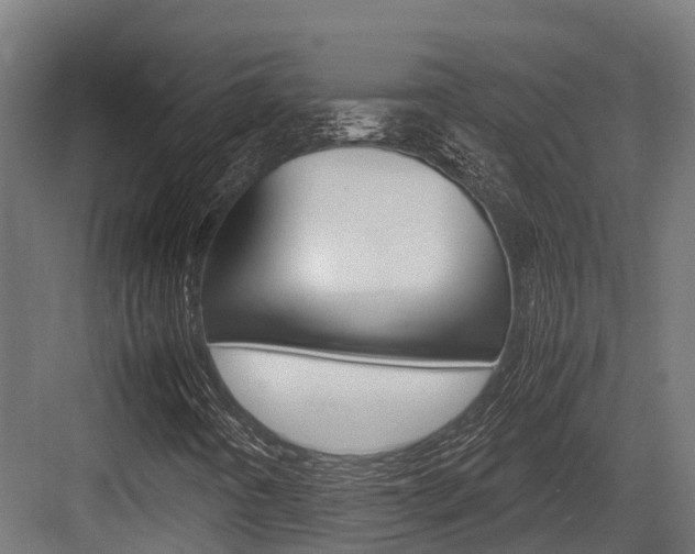 X0000083621442200702120737