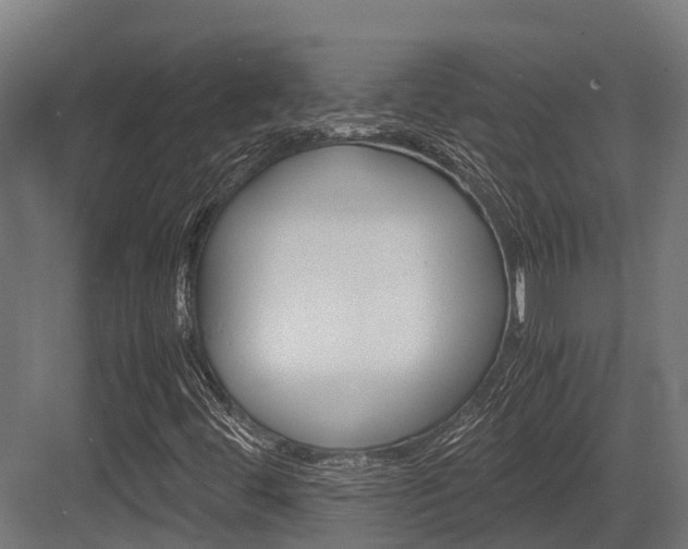 X0000083621444200702120737