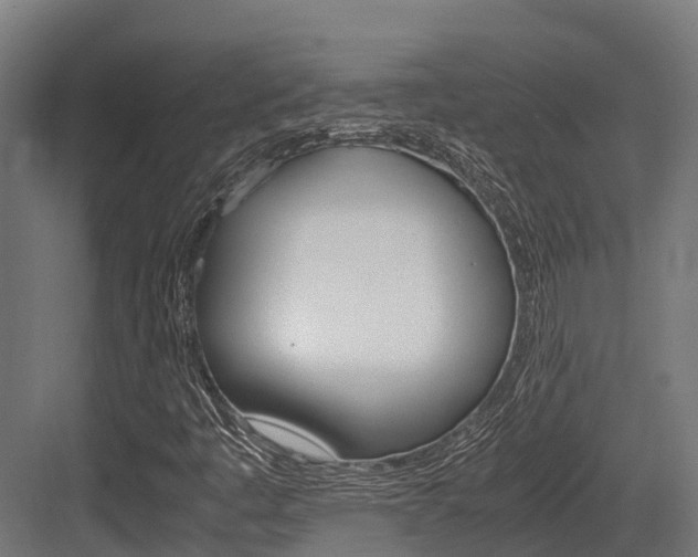 X0000083621445200702120737