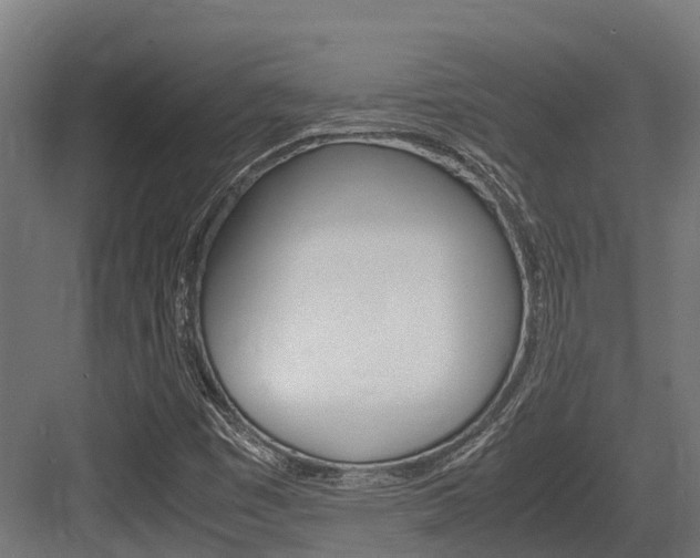 X0000083621449200702120737