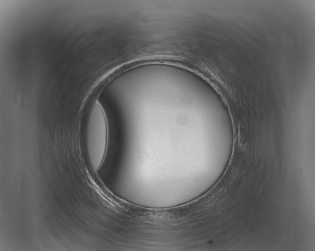 X0000083621452200702120737