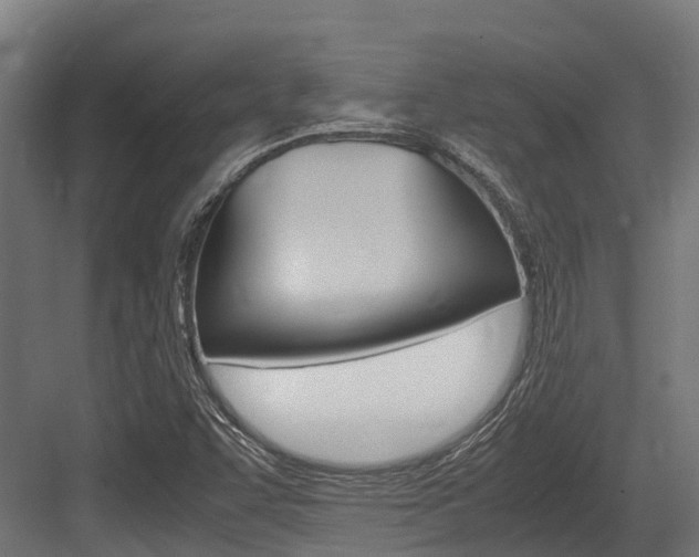 X0000083621455200702120737